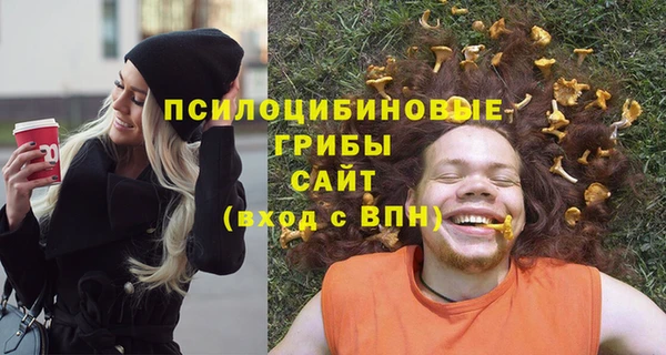 мдпв Корсаков