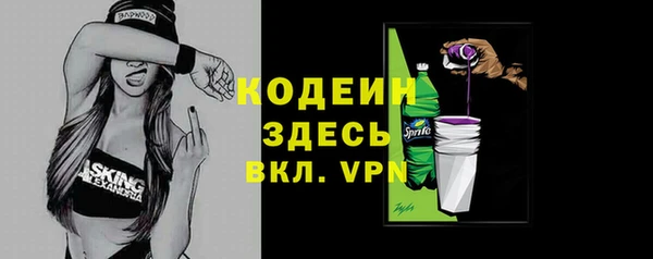 мдпв Корсаков