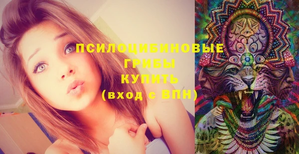 мдпв Корсаков