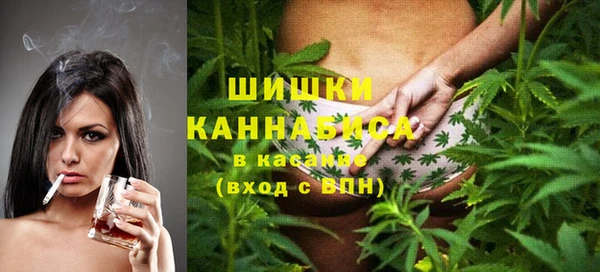 мдпв Корсаков