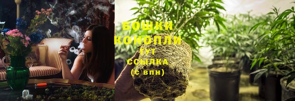 эйфоретик Коряжма