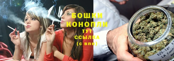 мдпв Корсаков