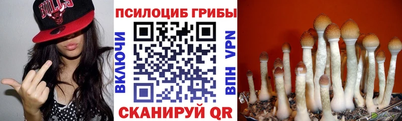 Псилоцибиновые грибы GOLDEN TEACHER  Купить  Самара 