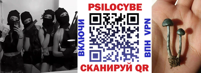 Псилоцибиновые грибы Psilocybine cubensis Самара
